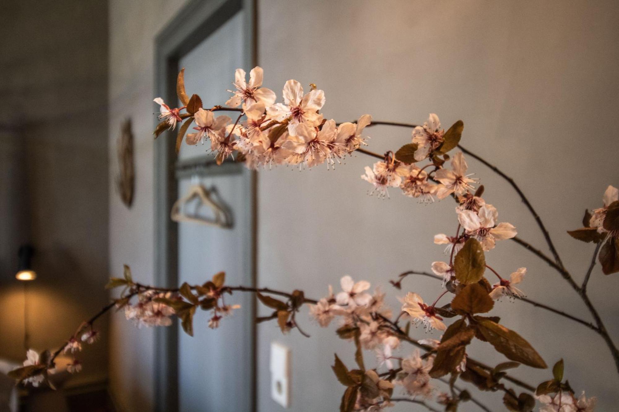 Gutshaus Zarchlin Apartment Barkhagen Cameră foto